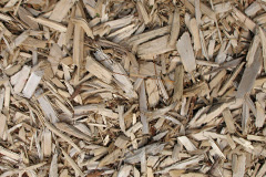 biomass boilers Birkenside