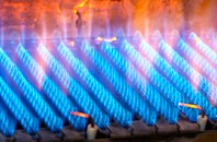 Birkenside gas fired boilers